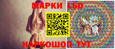 гидропоника Шебекино