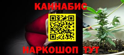 гидропоника Шебекино