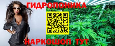 гидропоника Шебекино