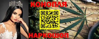гидропоника Шахты