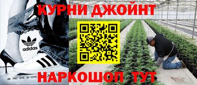 гидропоника Шебекино