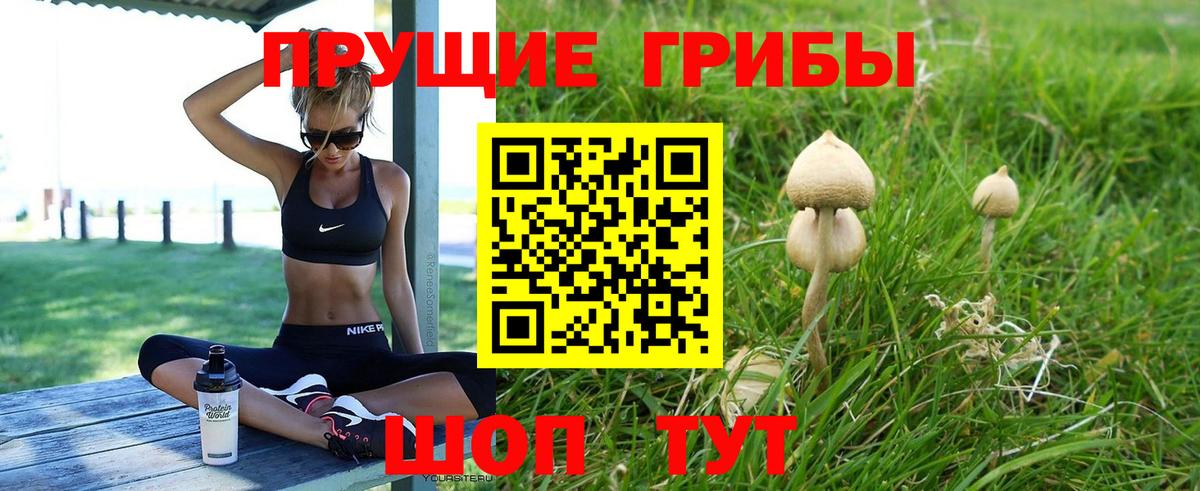 Галлюциногенные грибы мицелий Бор